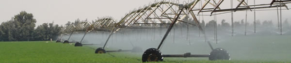 Dina Farms